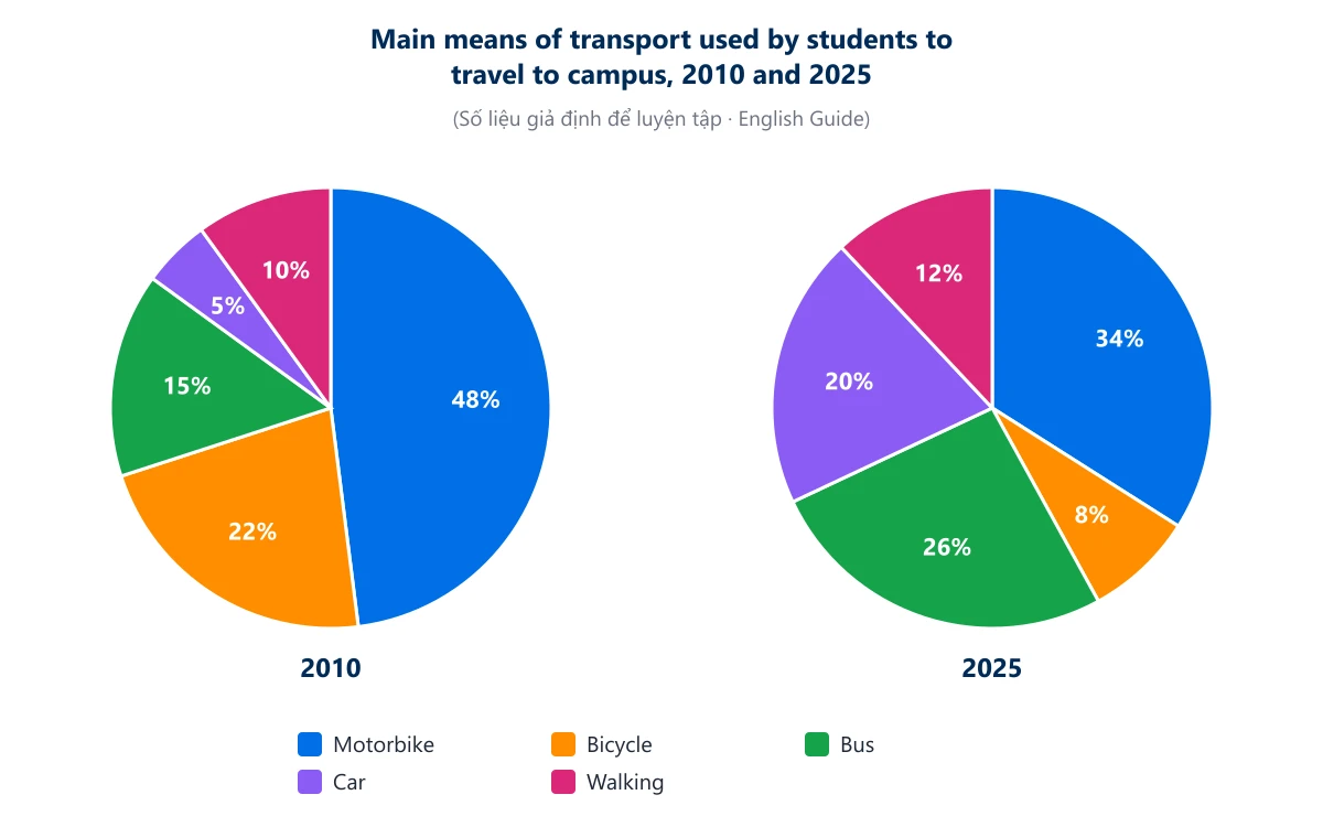 Biểu đồ đề luyện tập (số liệu giả định): Main means of transport used by students to travel to campus, 2010