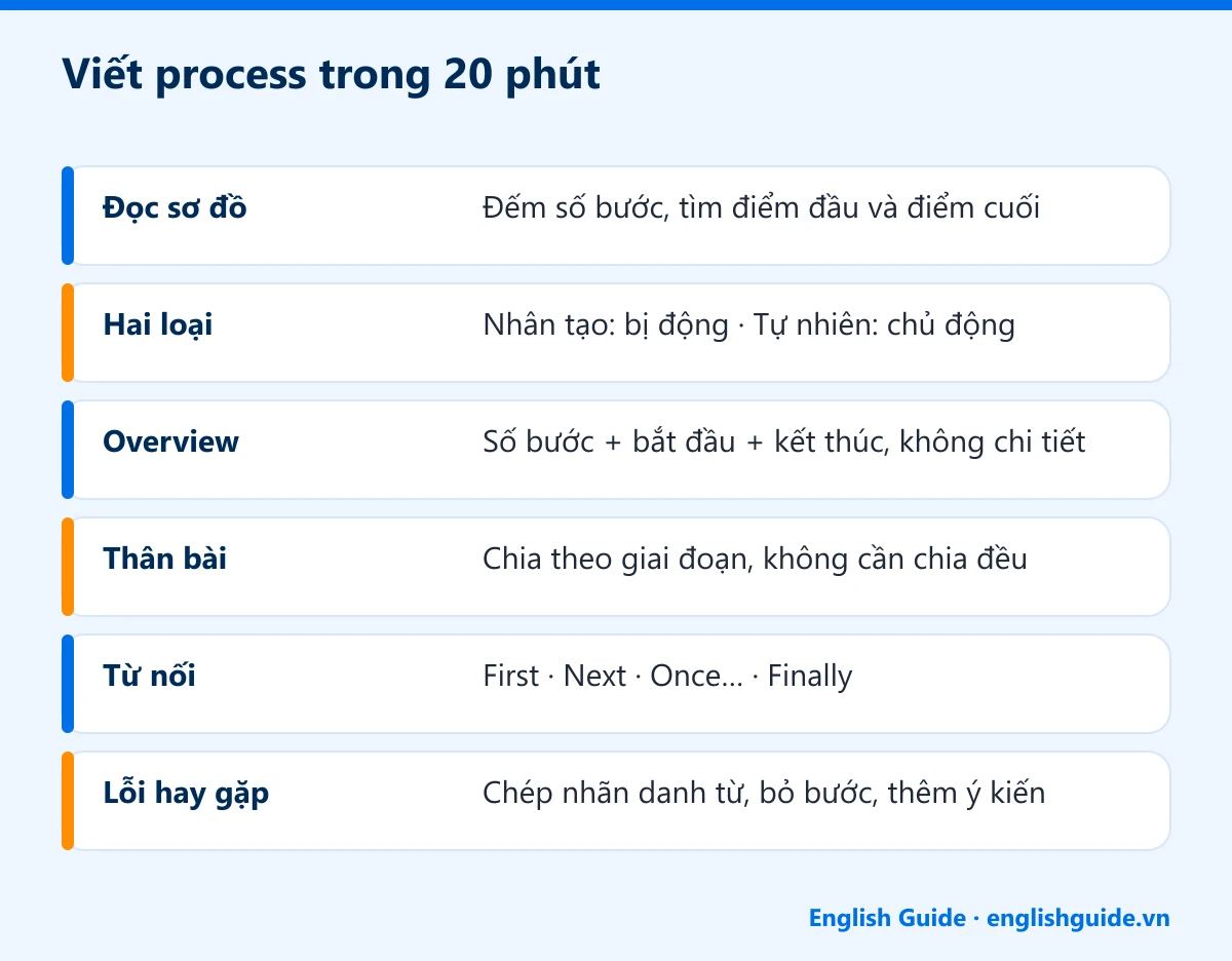 Viết process trong 20 phút: Đọc sơ đồ – Đếm số bước, tìm điểm đầu và điểm cuối; Hai loại – Nhân tạo: bị động · Tự nhiên: chủ động; Overview – Số bước + bắt đầu + kết thúc, không chi tiết; Thân bài – Chia theo giai đoạn, không cần chia đều; Từ nối – First · Next · Once… · Finally; Lỗi hay gặp – Chép nhãn danh từ, bỏ bước, thêm ý kiến