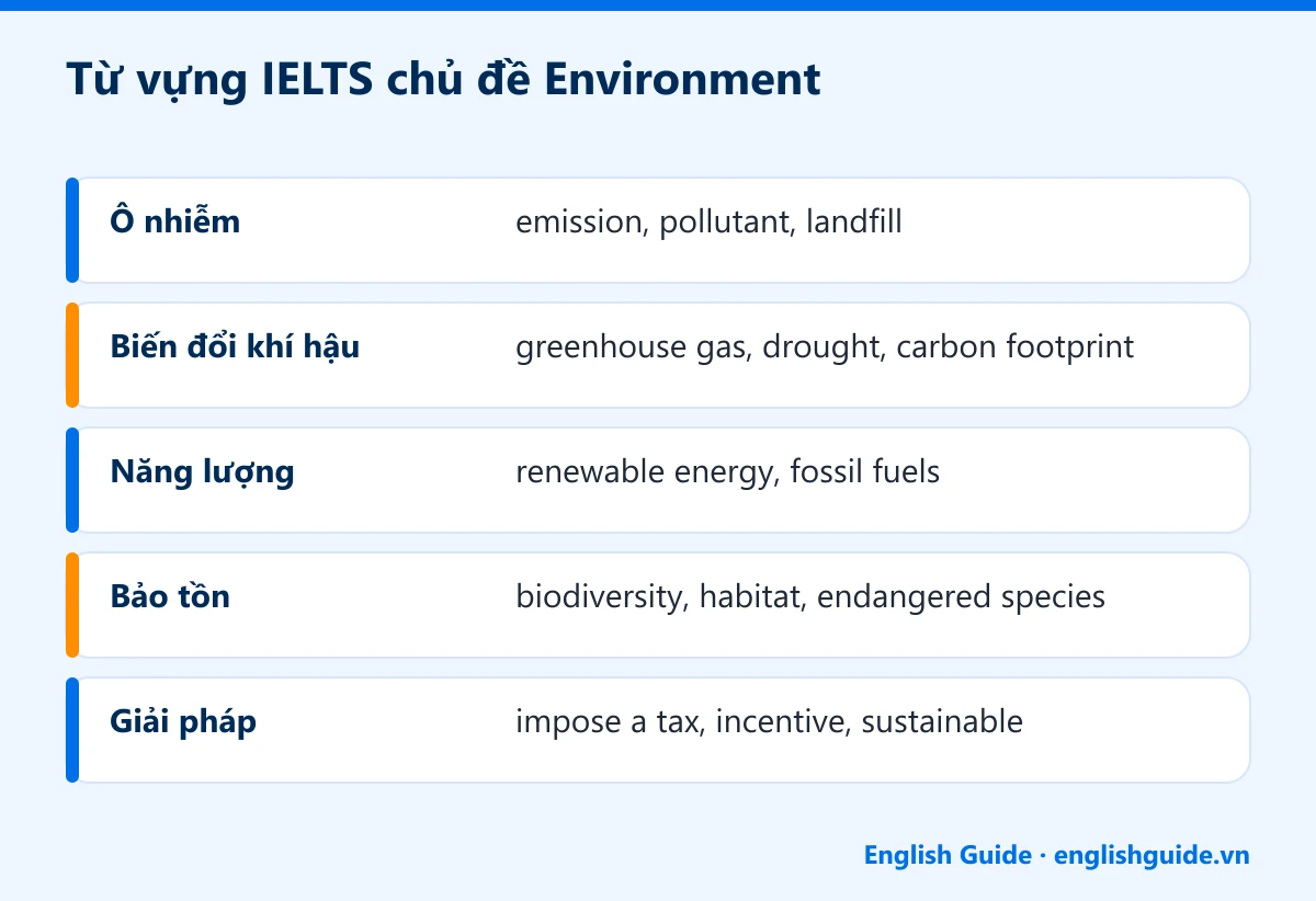 Từ vựng IELTS chủ đề Environment: Ô nhiễm – emission, pollutant, landfill; Biến đổi khí hậu – greenhouse gas, drought, carbon footprint; Năng lượng – renewable energy, fossil fuels; Bảo tồn – biodiversity, habitat, endangered species; Giải pháp – impose a tax, incentive, sustainable