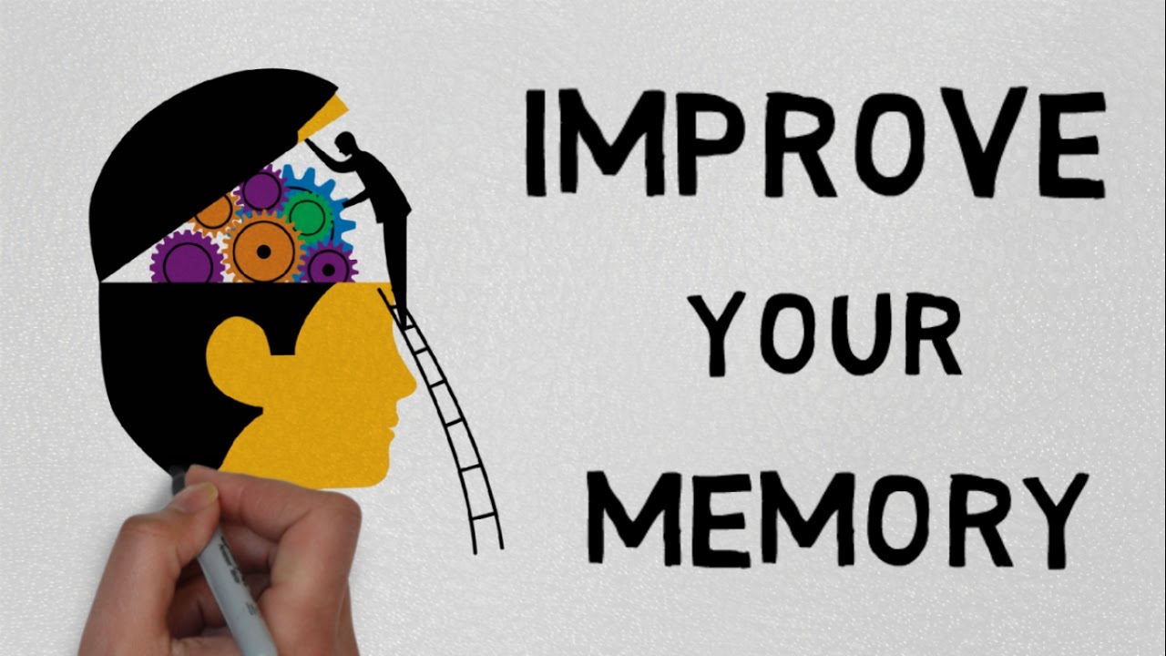 HOW TO IMPROVE YOUR MEMORY
